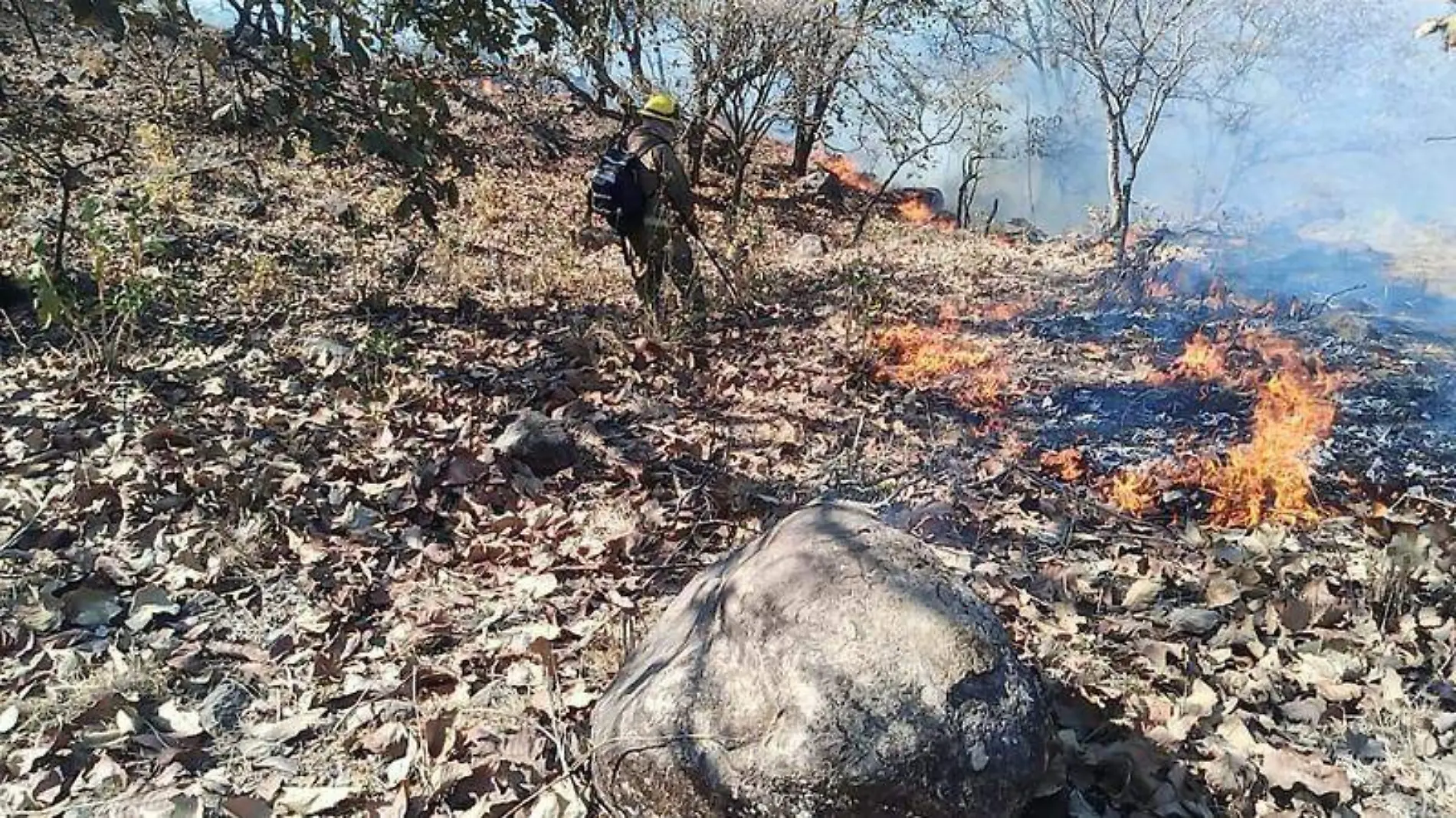 Incendios Tlajomulco